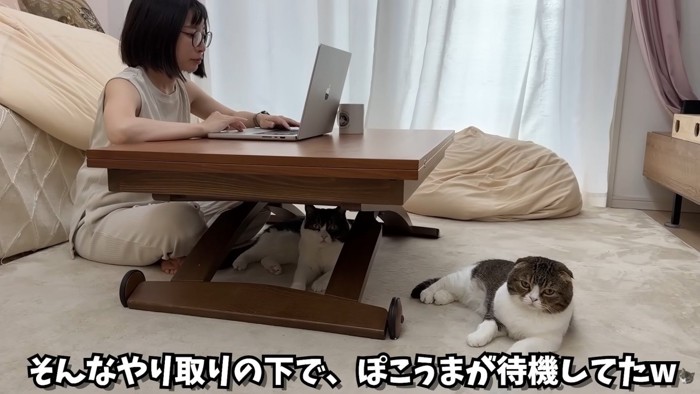 テロップ「そんなやり取りの~」