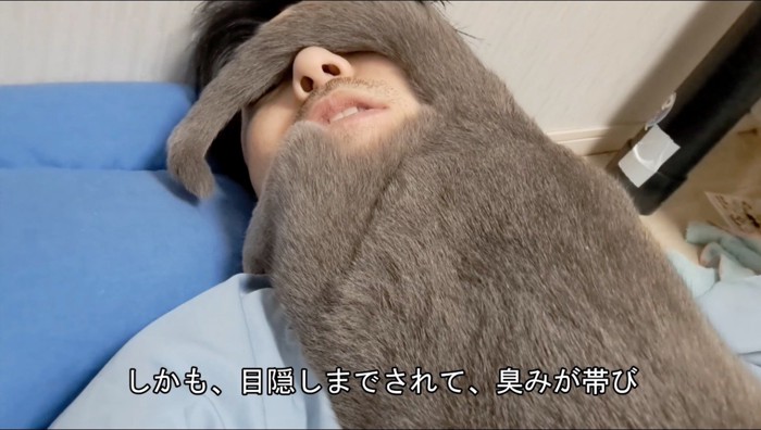 猫に乗られながら状況を説明する飼い主