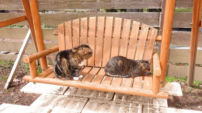 ブランコの上のまるくんとはなちゃん