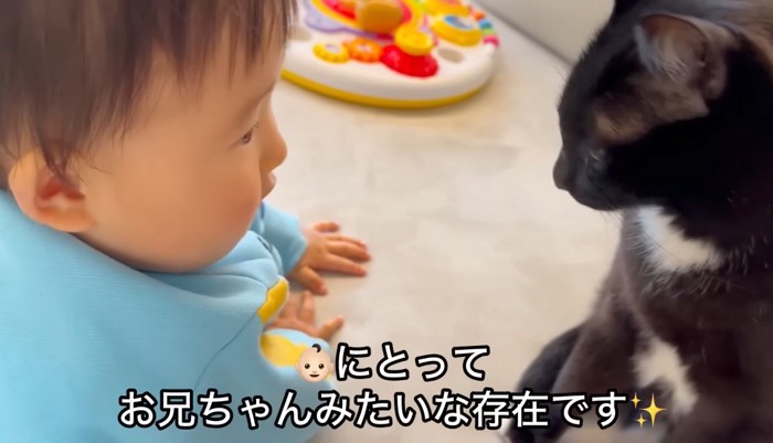 お兄ちゃんみたいな存在