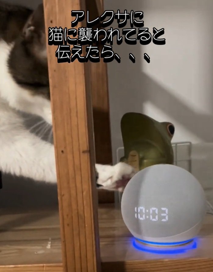 手を伸ばすノアくん