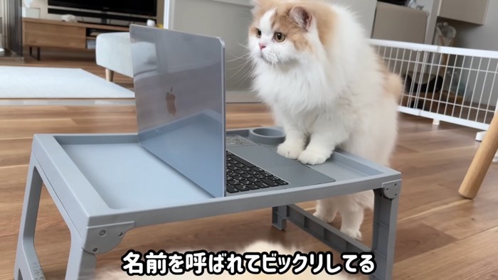 身を乗り出すレモンくん