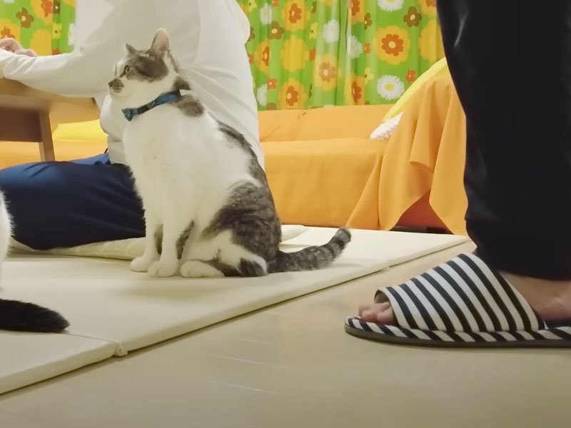 リビングに集まる家族