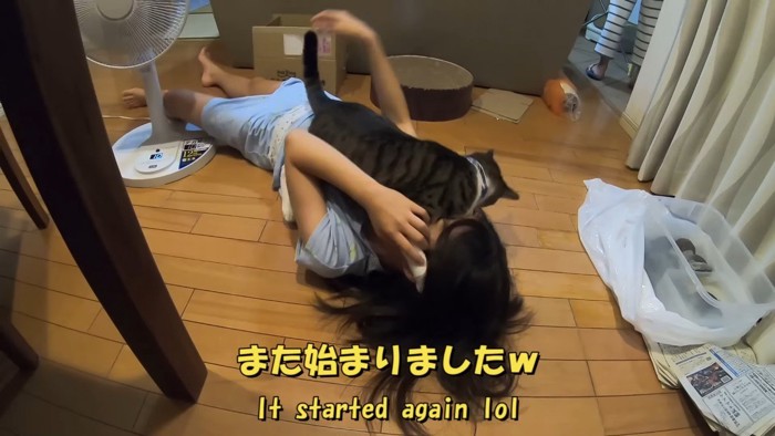 また始まりました