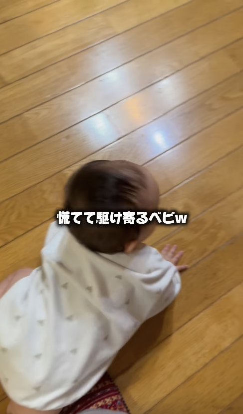 フローリングの上をハイハイしている赤ちゃん