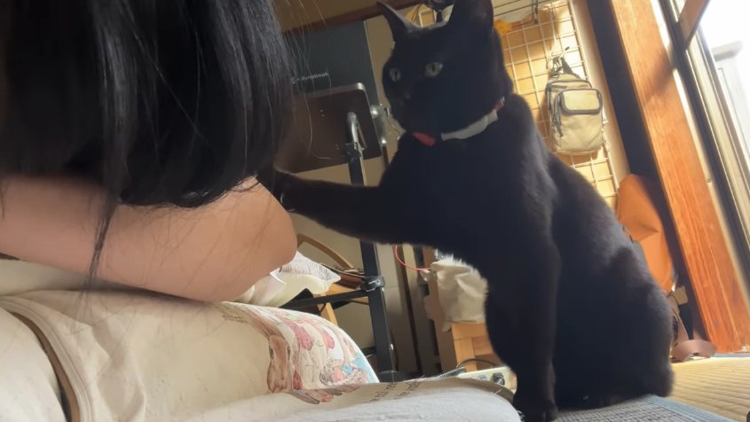 和室で寝ている飼い主の腕に右前足を乗せる黒猫