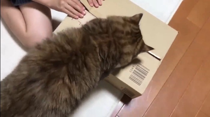 箱に乗り上げて