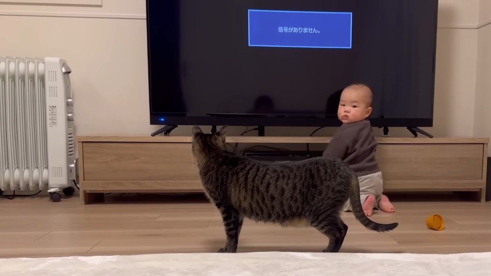 テレビの前にいるふたり