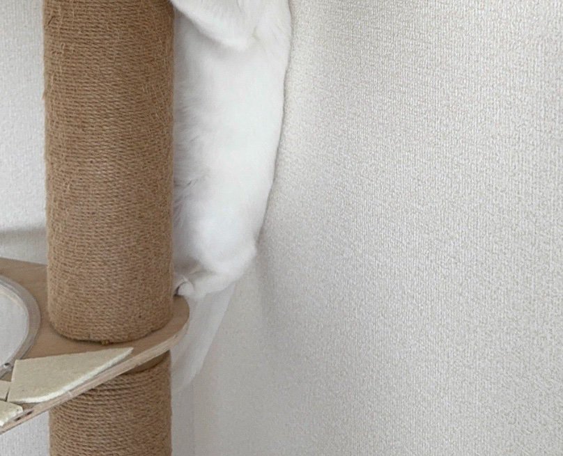 キャットタワーに登る猫