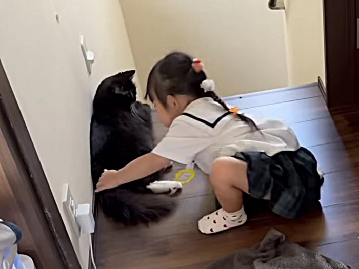 寝ころぶ猫に近づく妹