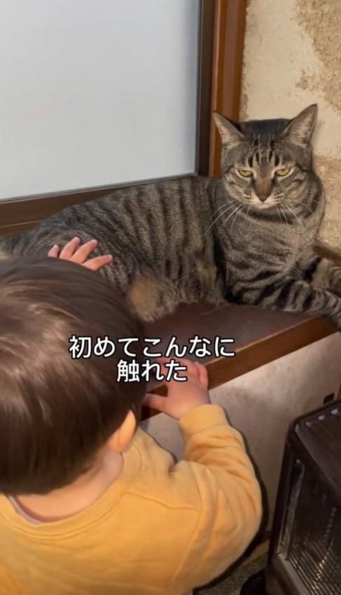 初めてたくさん触れたお兄ちゃん