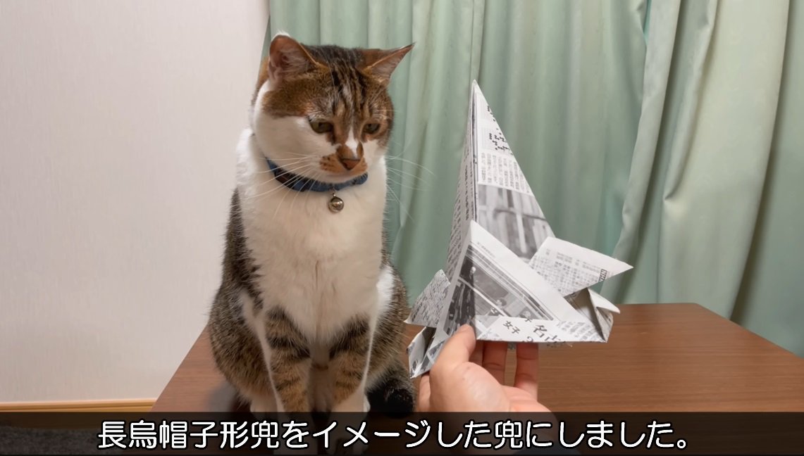 完成した紙兜を見ている猫