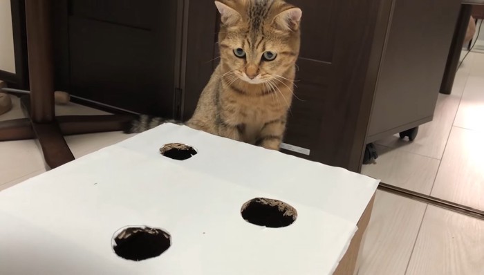 じっと見つめて