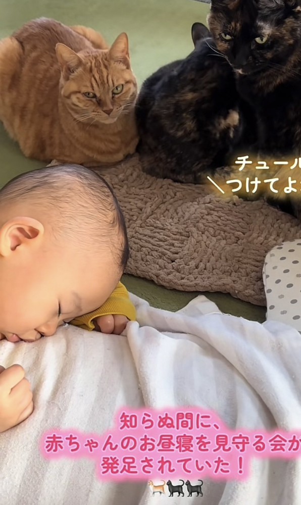 「知らぬ間に...」のテロップ写真2