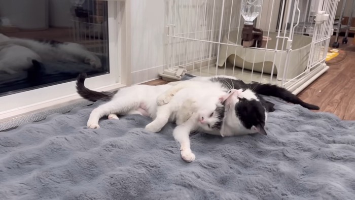 なおみちゃんを後ろからハグするケンシロウくん