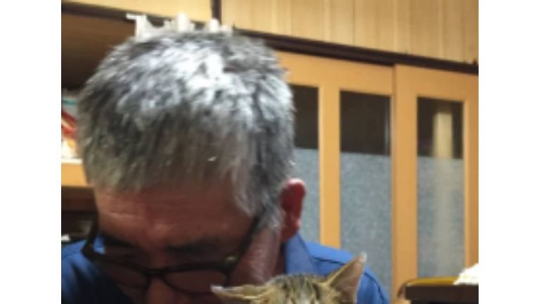 抱かれている猫