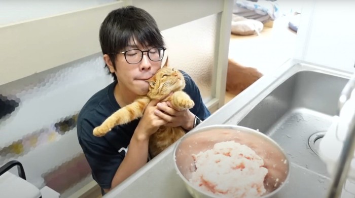 猫と人