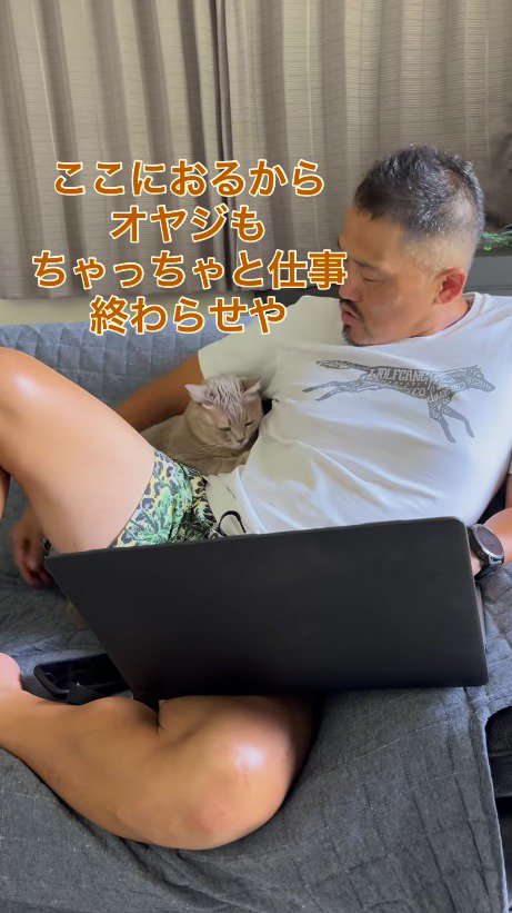 飼い主に寄り添う猫と、猫を見つめる飼い主