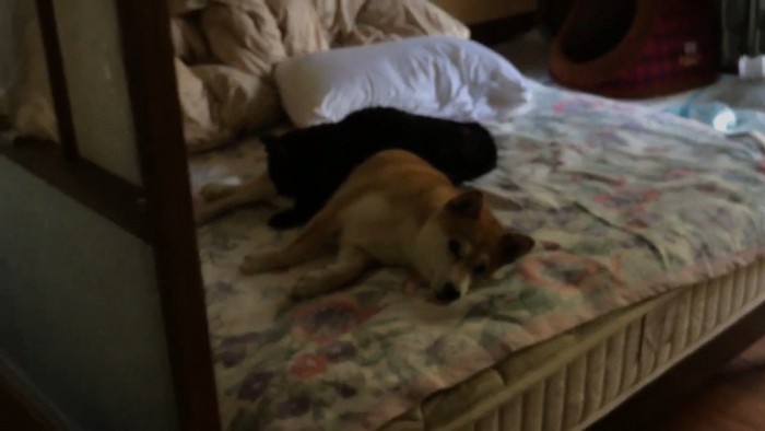 少し離れて