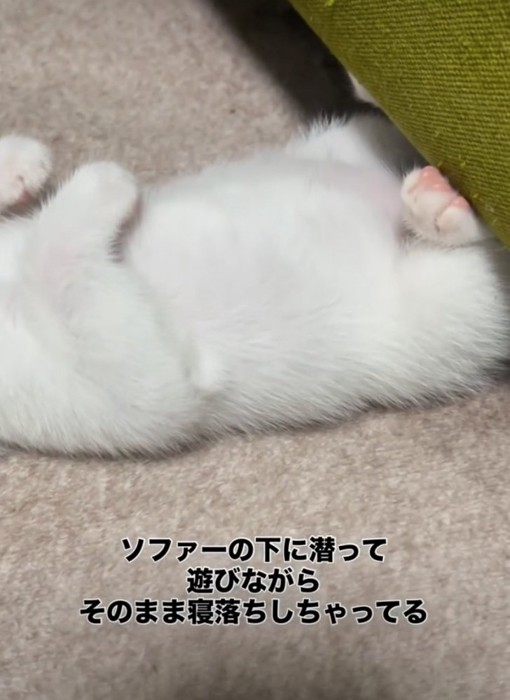 足をソファの端にかける