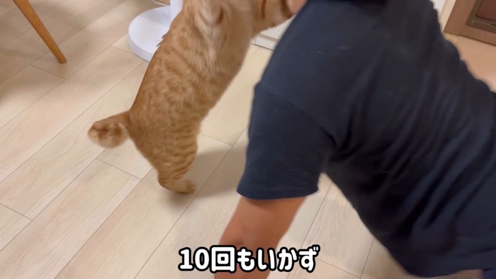 立ち上がって