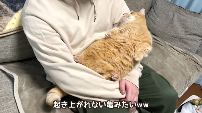 中々起き上がれないプリン