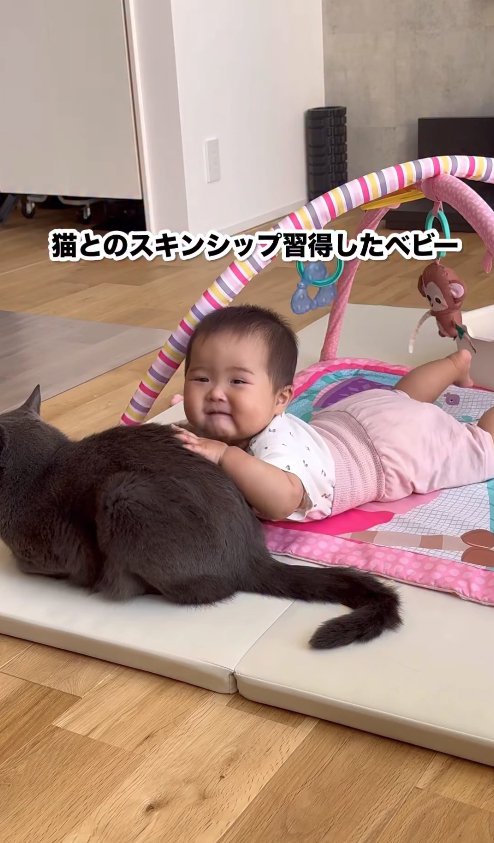 赤ちゃんに背中を触られてる猫