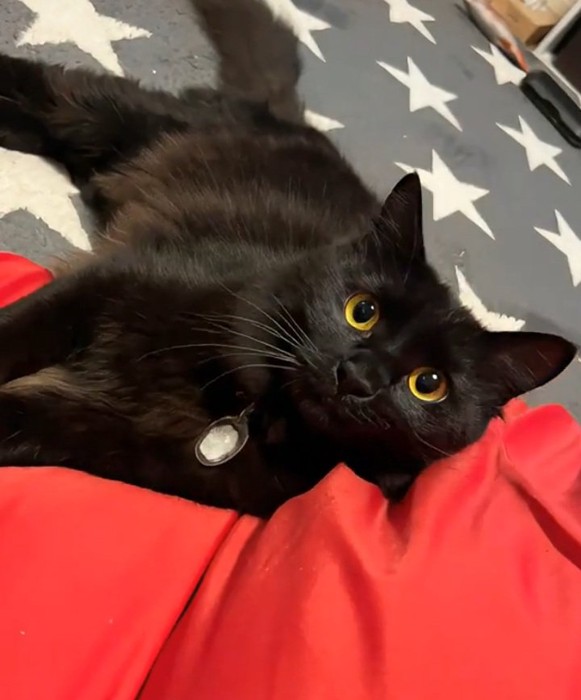 カメラ目線のジジちゃん