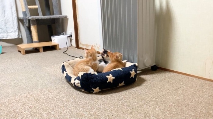 ヒーターを見上げて