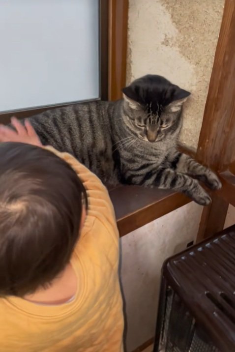 なでるお兄ちゃん