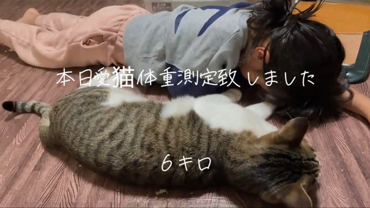 並んで横になる人と猫