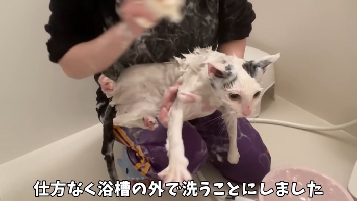 テロップ「仕方なく浴槽の~」