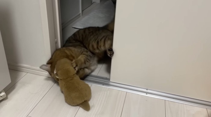 ドアに後ろ足をかけて