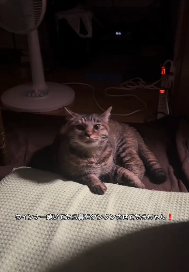 くつろぐ梅干しちゃん