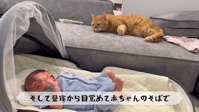 テロップ「そして昼寝から~」