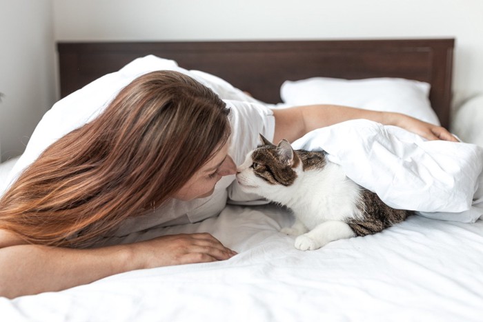 鼻をつける飼い主と猫