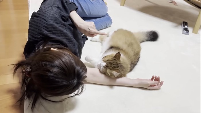 向こうを指差して