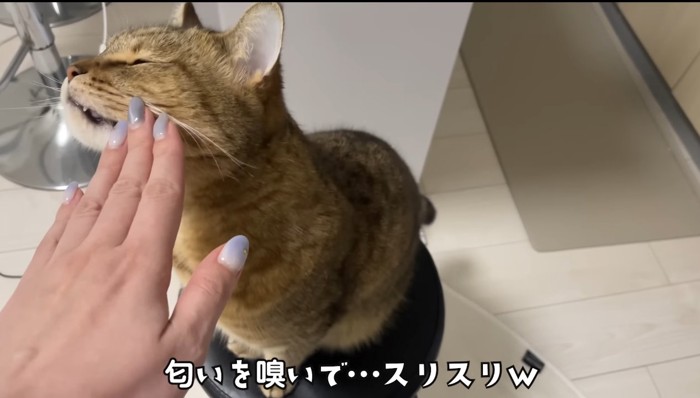 匂いを嗅いで…