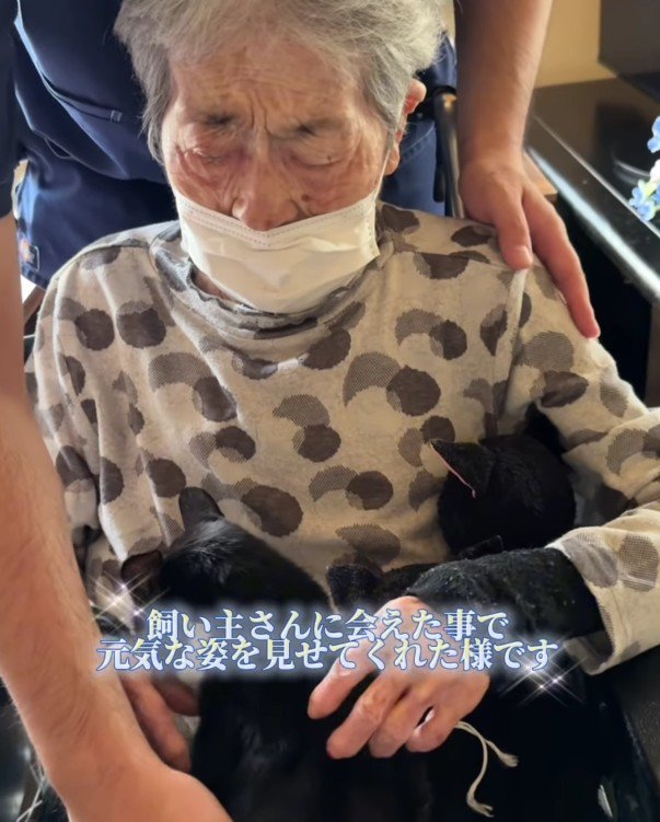 おばあちゃんと猫