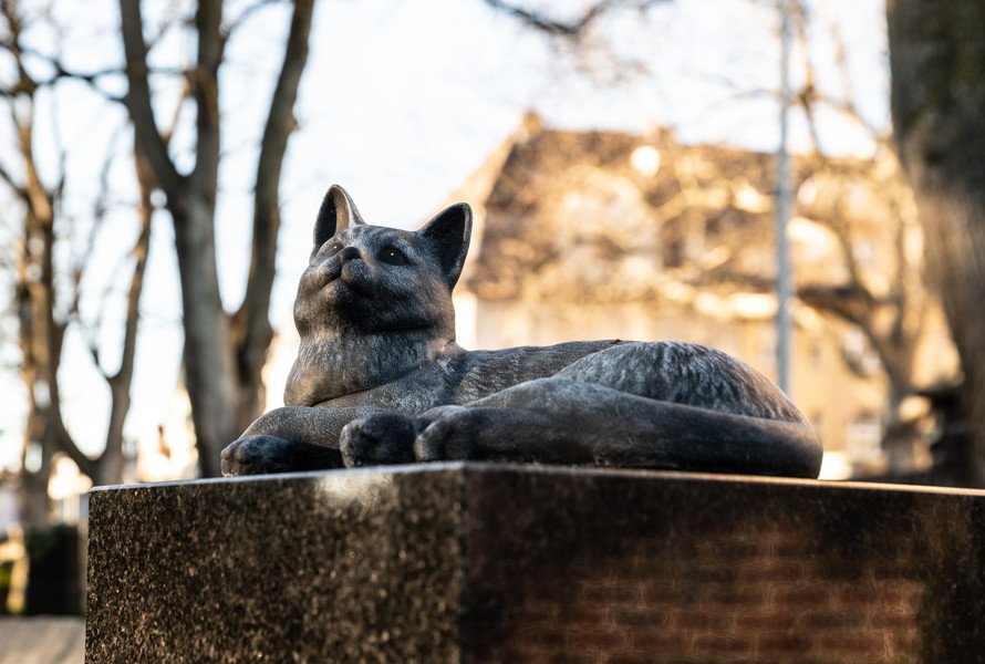 猫の像が建てられたお墓
