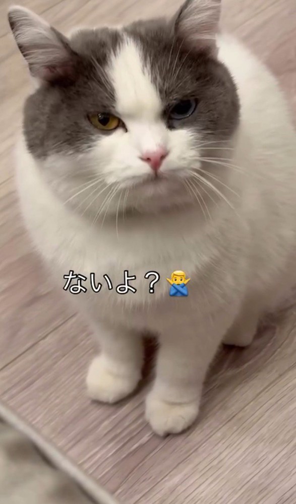 「ないよ?」と書かれている