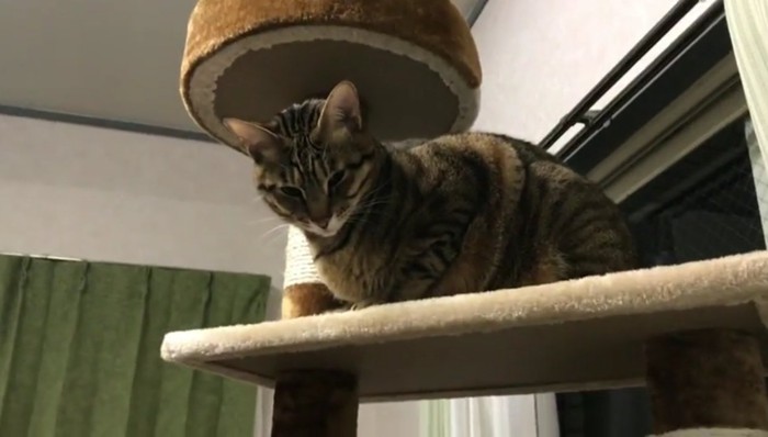 タワーの上から目を細めて