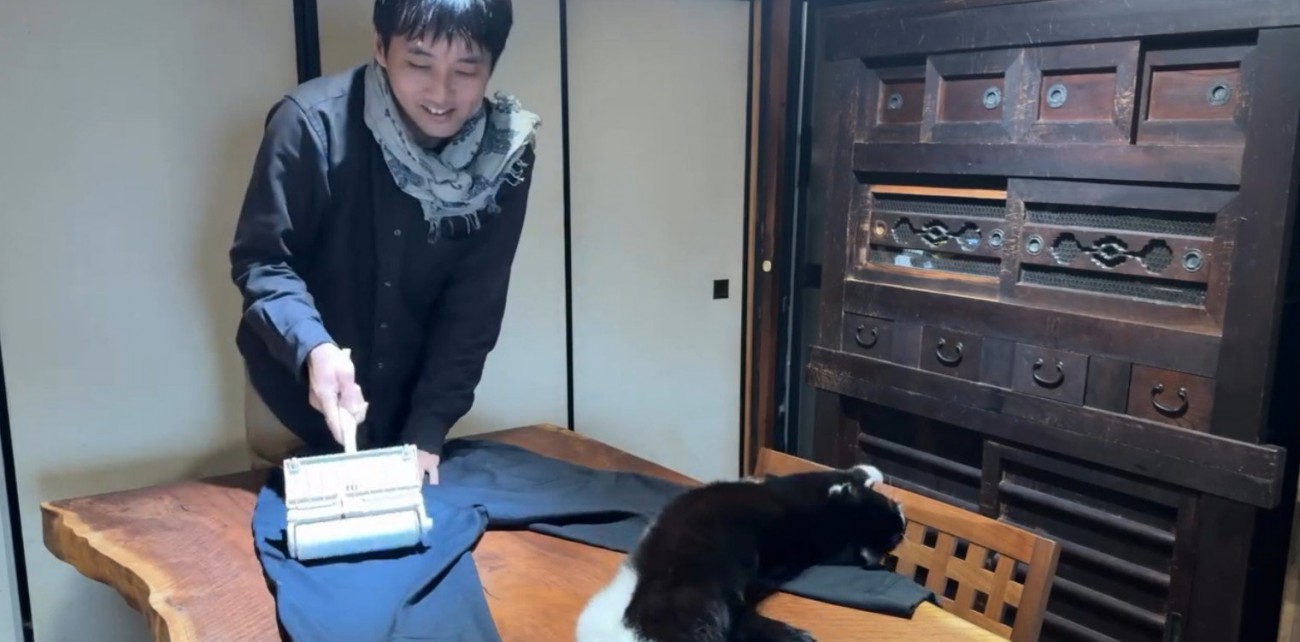 服の毛を取る飼い主と猫