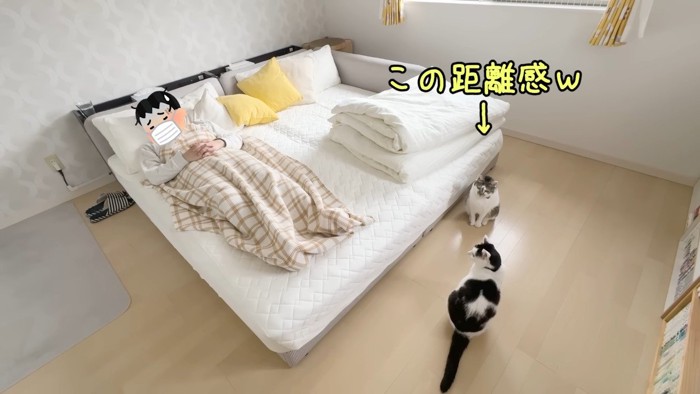 この距離感