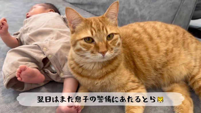 テロップ「翌日はまた~」