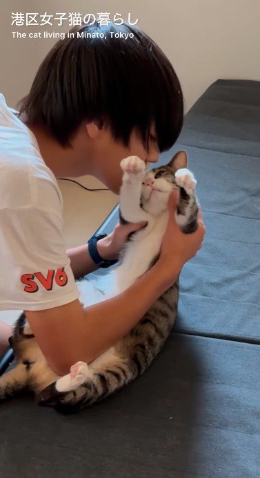 顔を見つめあう猫と男の子