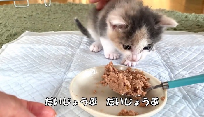 だいじょうぶ