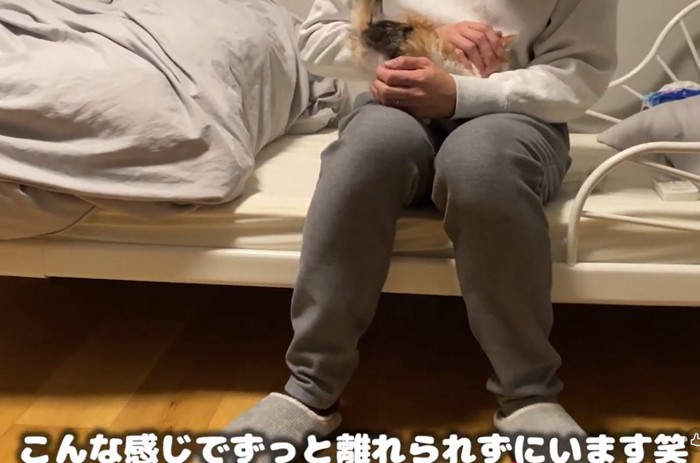 ベッドに座る人と膝に乗る子猫