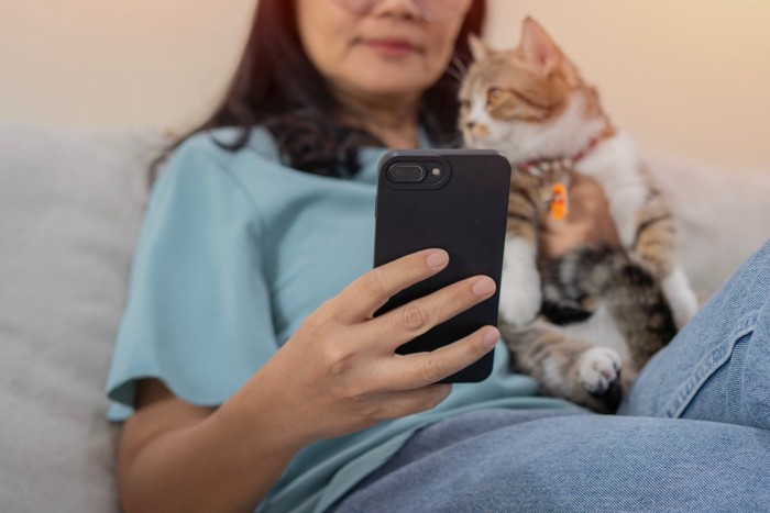 オンライン診療中の女性と猫