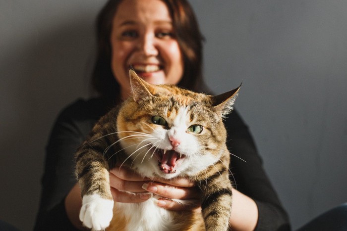 女性に抱っこされて怒る猫